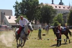 img_8024.jpg