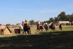 img_8100.jpg