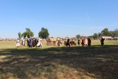 img_8116.jpg