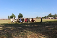 img_8117.jpg