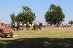 img_8190.jpg