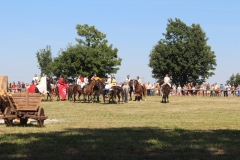 img_8191.jpg