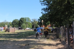 img_8211.jpg