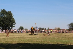 img_8214.jpg