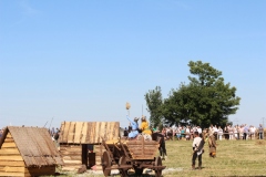 img_8216.jpg