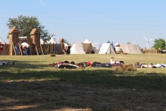 img_8218.jpg