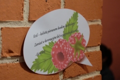 dscf1244.jpg