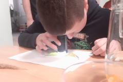 26.png