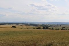 img_9352.jpg