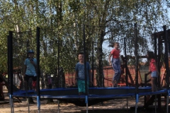 img_8133.jpg
