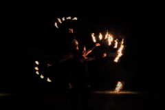 img_8361.jpg