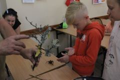 img_9945.jpg