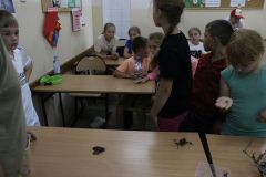 img_9950.jpg