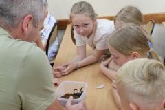 img_9960.jpg
