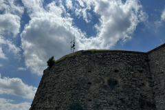 img_3556.png