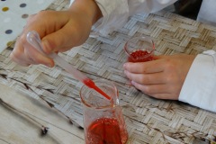 dsc04064.jpg