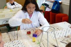 dsc04084.jpg