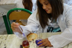 dsc04087.jpg