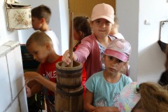dsc04116.jpg
