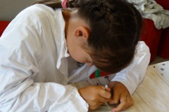 dsc04124.jpg