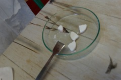 dsc04135.jpg
