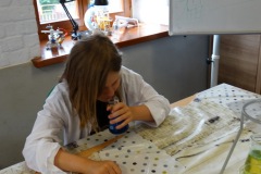 dsc04206.jpg