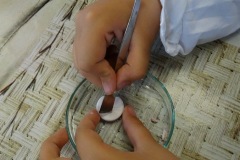 dsc04318.jpg