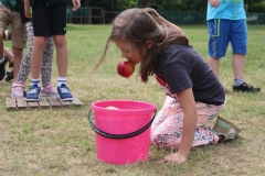 img_7442.jpg