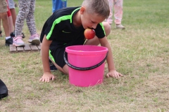 img_7445.jpg
