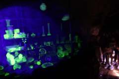 211105580_2859288544287845_6519481611100262782_n.jpg