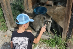 img_7940.jpg