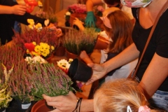 img_3742.jpg