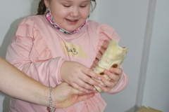 img_3723.jpg