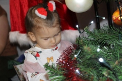 img_4313.jpg