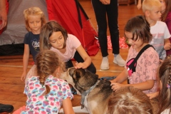 img_9372.jpg