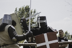 legnickie pole 2021-13.jpg