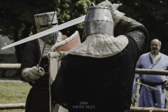 legnickie pole 2021-19.jpg