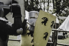 legnickie pole 2021-9.jpg