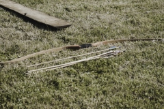 legnickie pole 2021-95.jpg