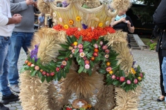 img_9006.jpg