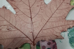 271139809_2996402707243094_4292870497259395040_n.jpg