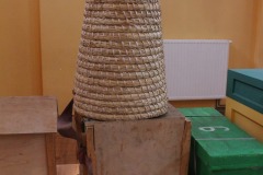 377555969_296826282991298_4832025825941178335_n.jpg