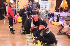 43-img_6688.jpg