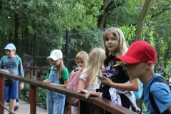 img_9494.jpg