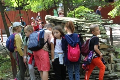 img_9525.jpg