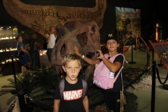 img_9542.jpg
